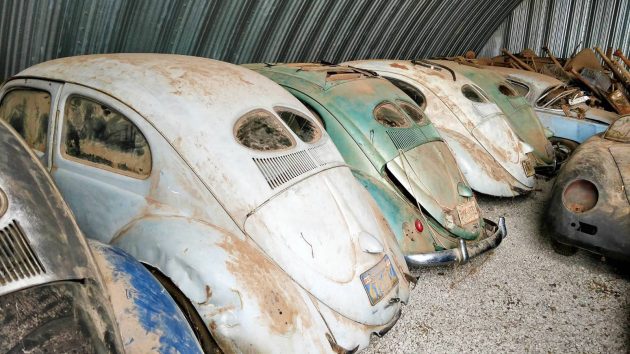 Coleção de Carros Antigos Encontrada Abandonada / Foto: Adam Blickhahn