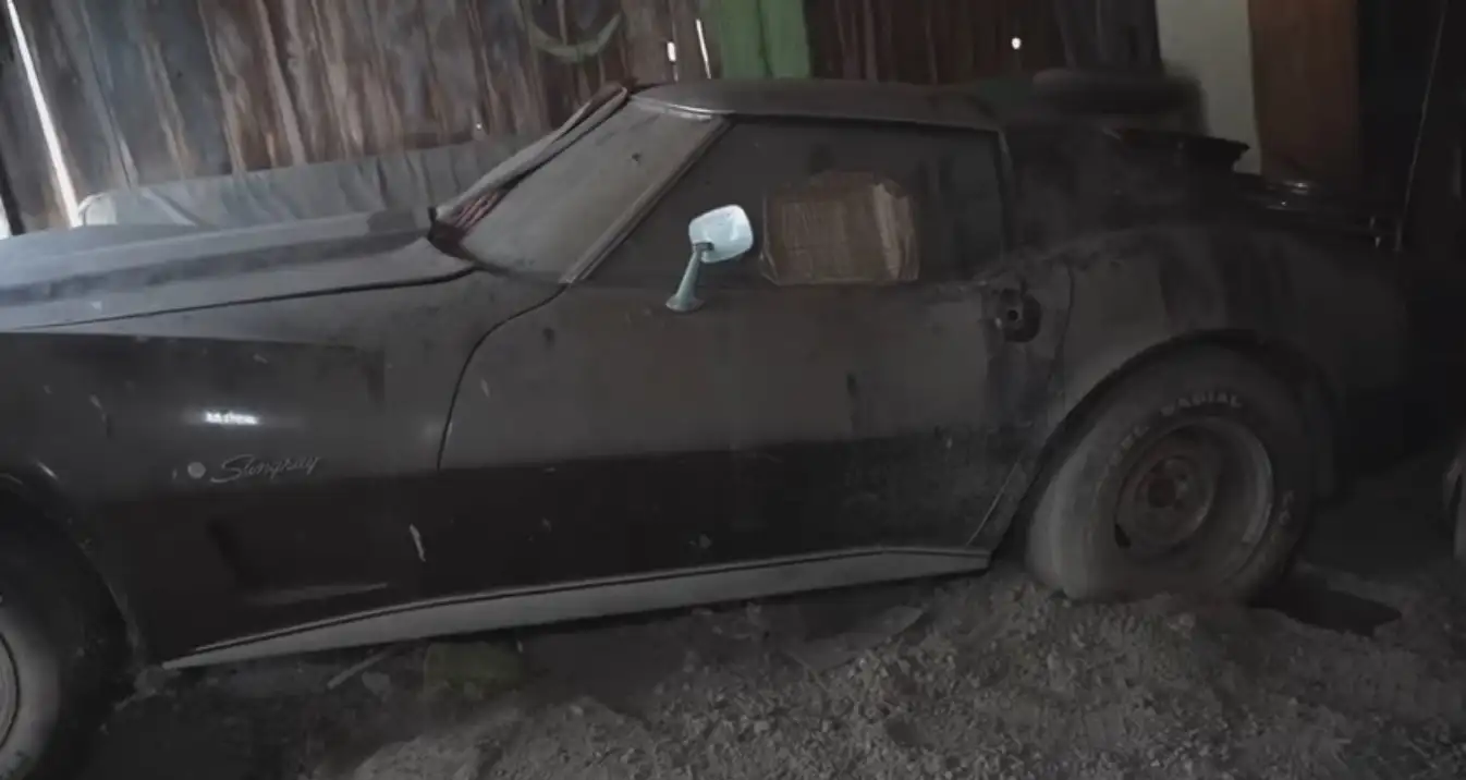 Chevrolet Corvette Stingray 1974 / Foto: WD Detailing