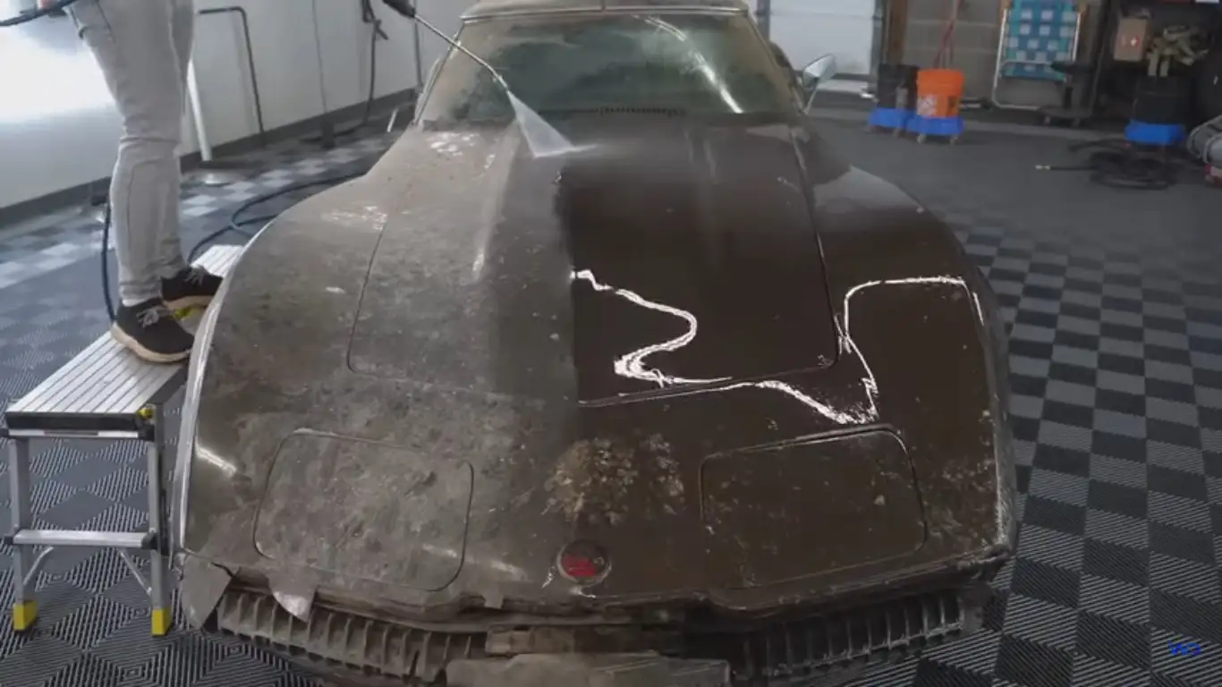 Chevrolet Corvette Stingray 1974 / Foto: WD Detailing