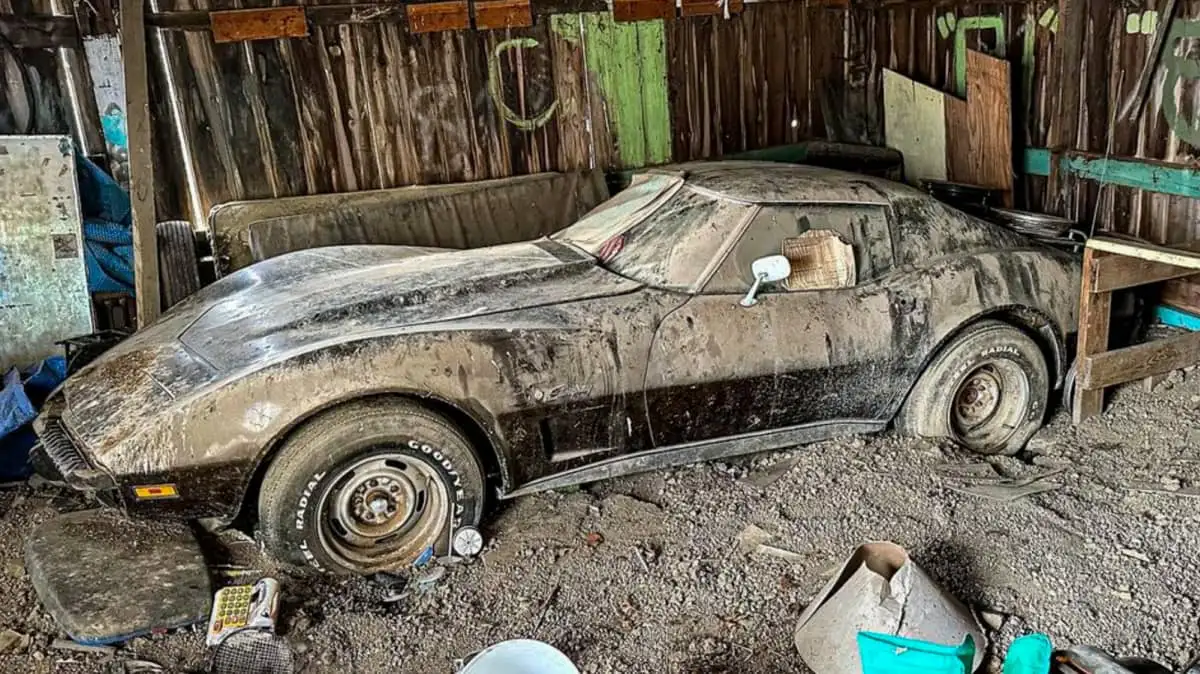 Chevrolet Corvette Stingray 1974 / Foto: WD Detailing