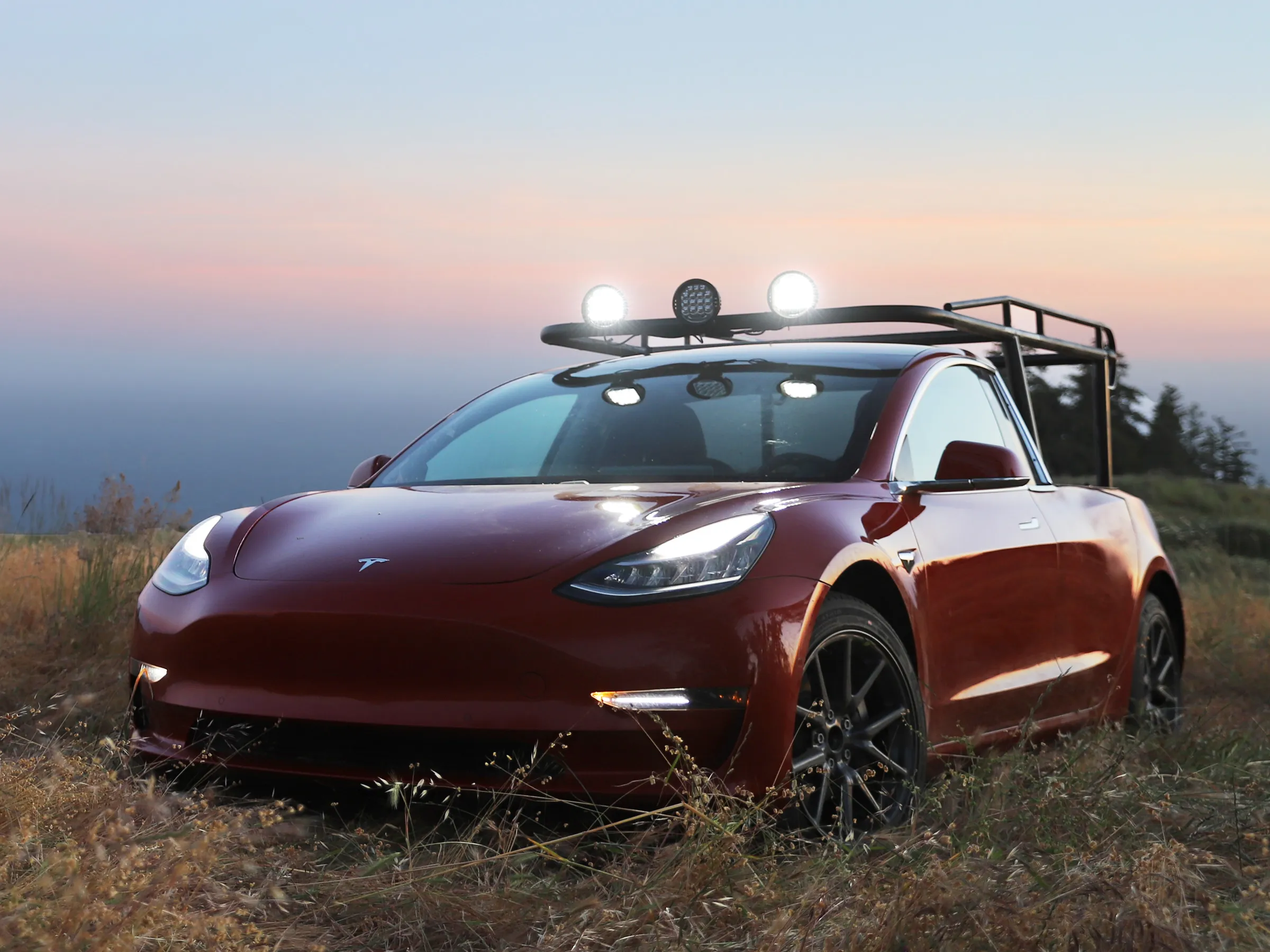 Tesla Model 3 Pickup (Truckla) Foto: Simone Giertz's