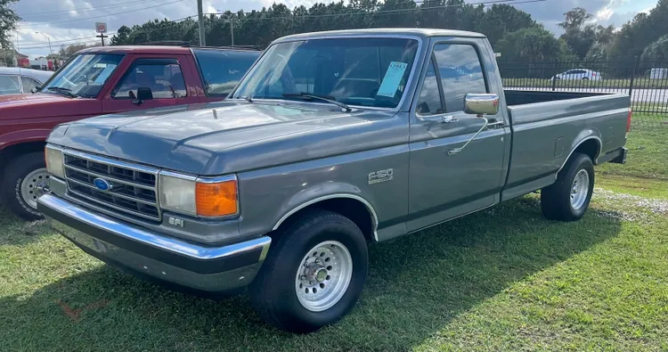 Ford F-150 1989 / Leilões Mecum
