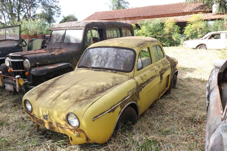Foto: Paulo Francis / Campo Grande News