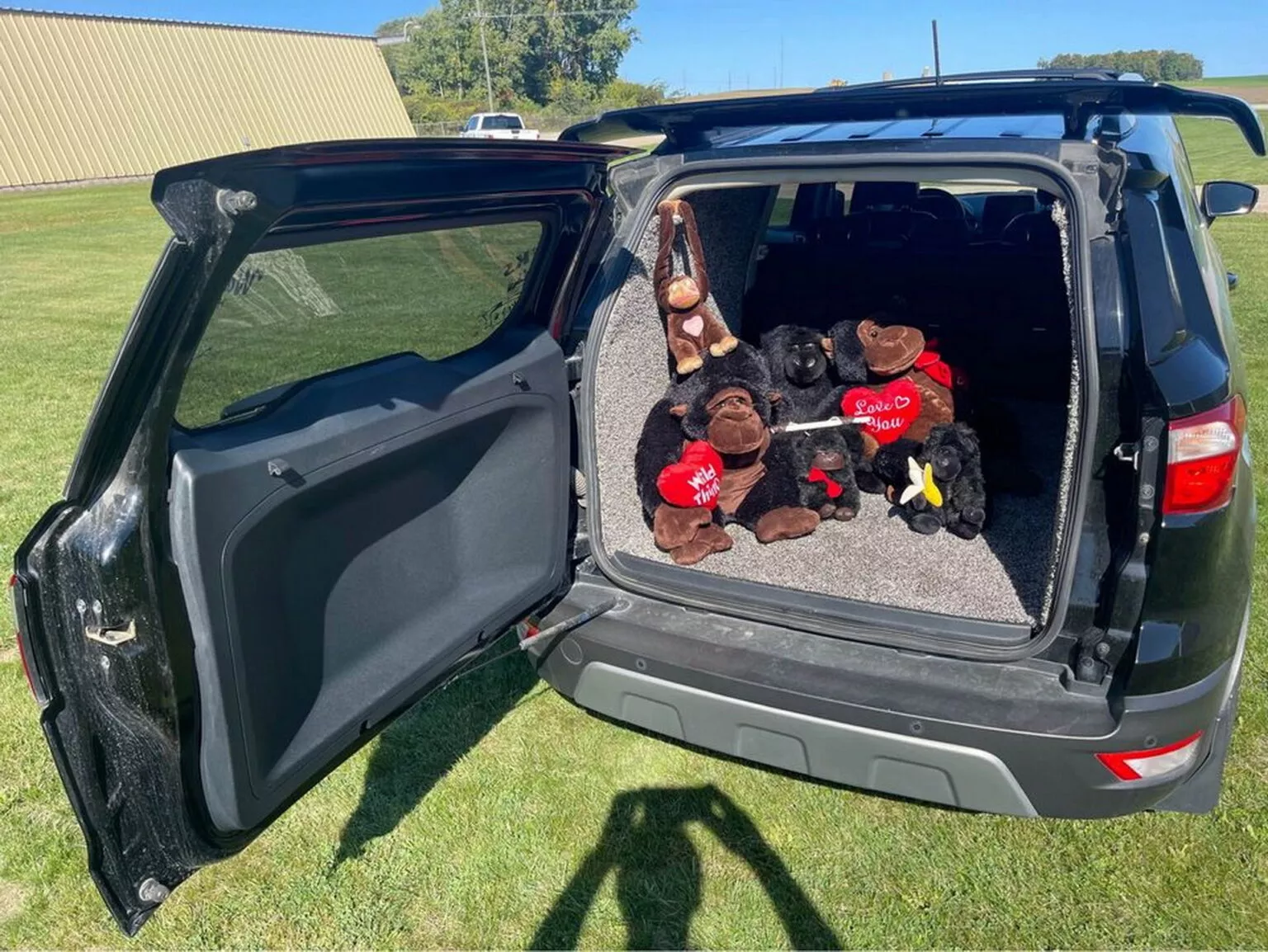 Ford EcoSport Trucado / Photos: Conrad Kincaid / Facebook Marketplace