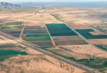 Projeto de Lei no Arizona Propõe Eliminar Limites de Velocidade em Rodovias Rurais Durante o Dia